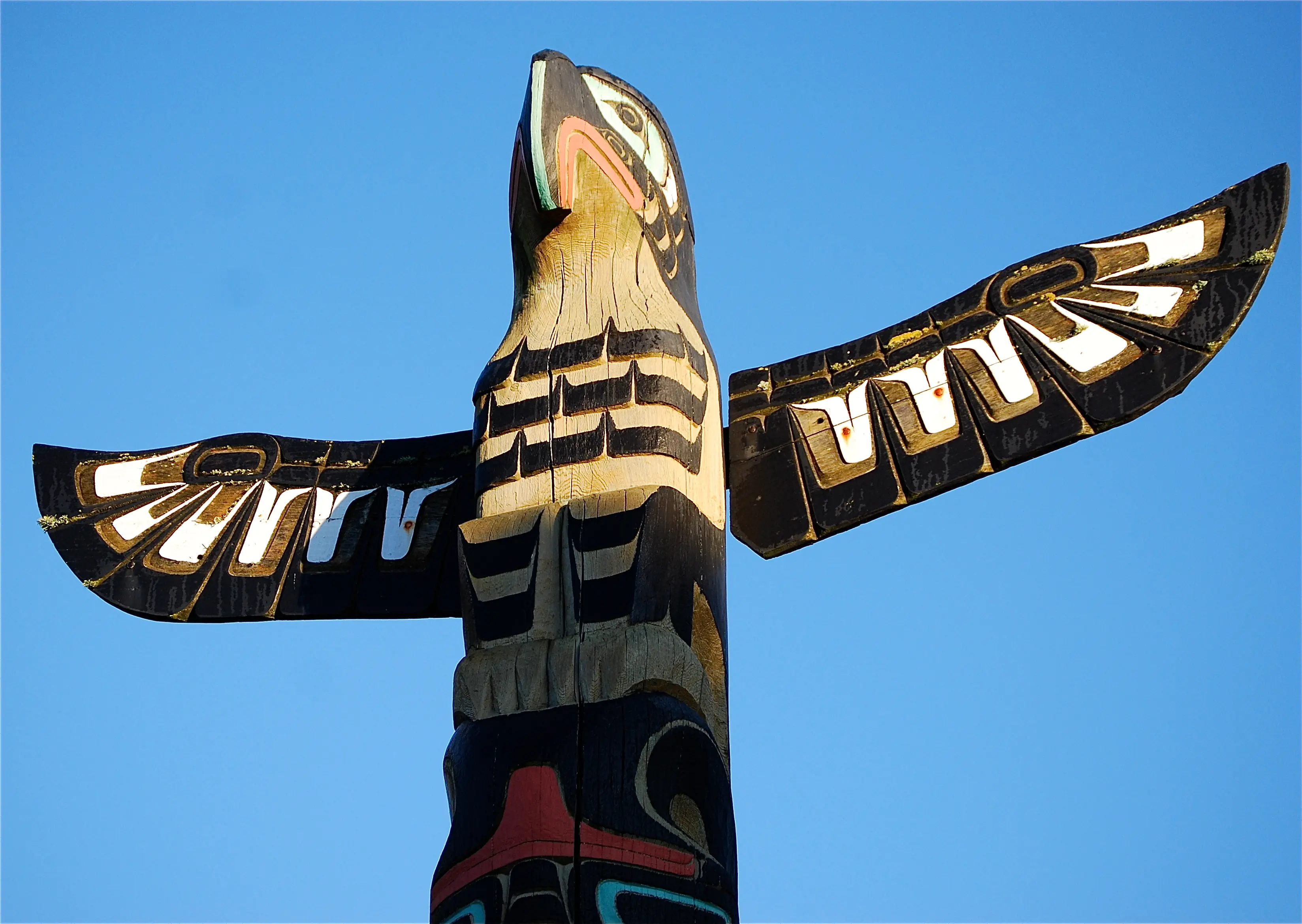 tribu