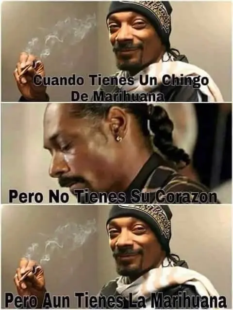 Imágenes de humor nocturno parte 246