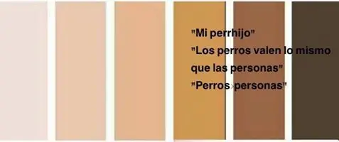 humor taringuero