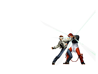 fighter