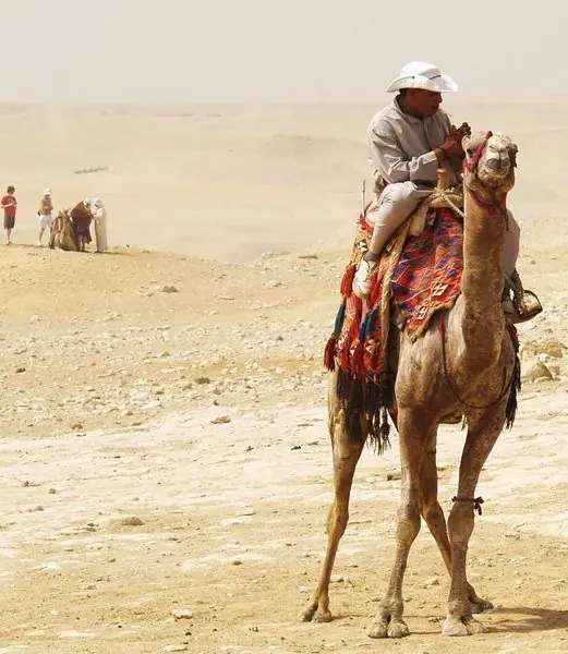 en el desierto en el desierto