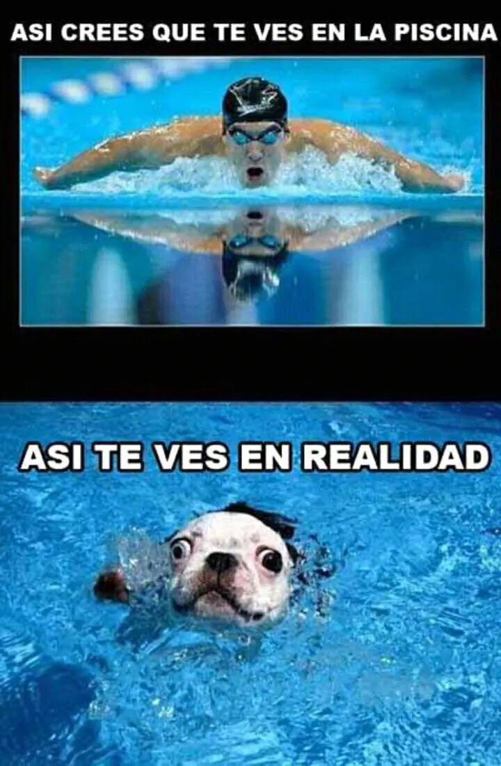 imagenes