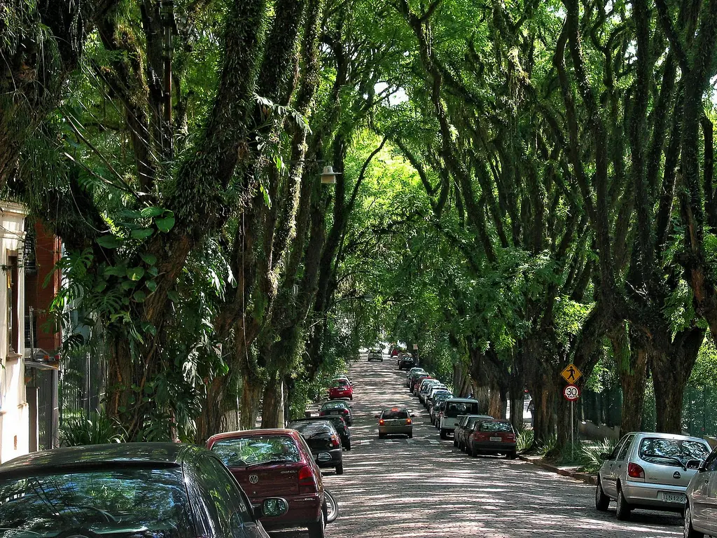 calles