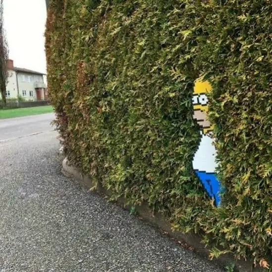 crazy images