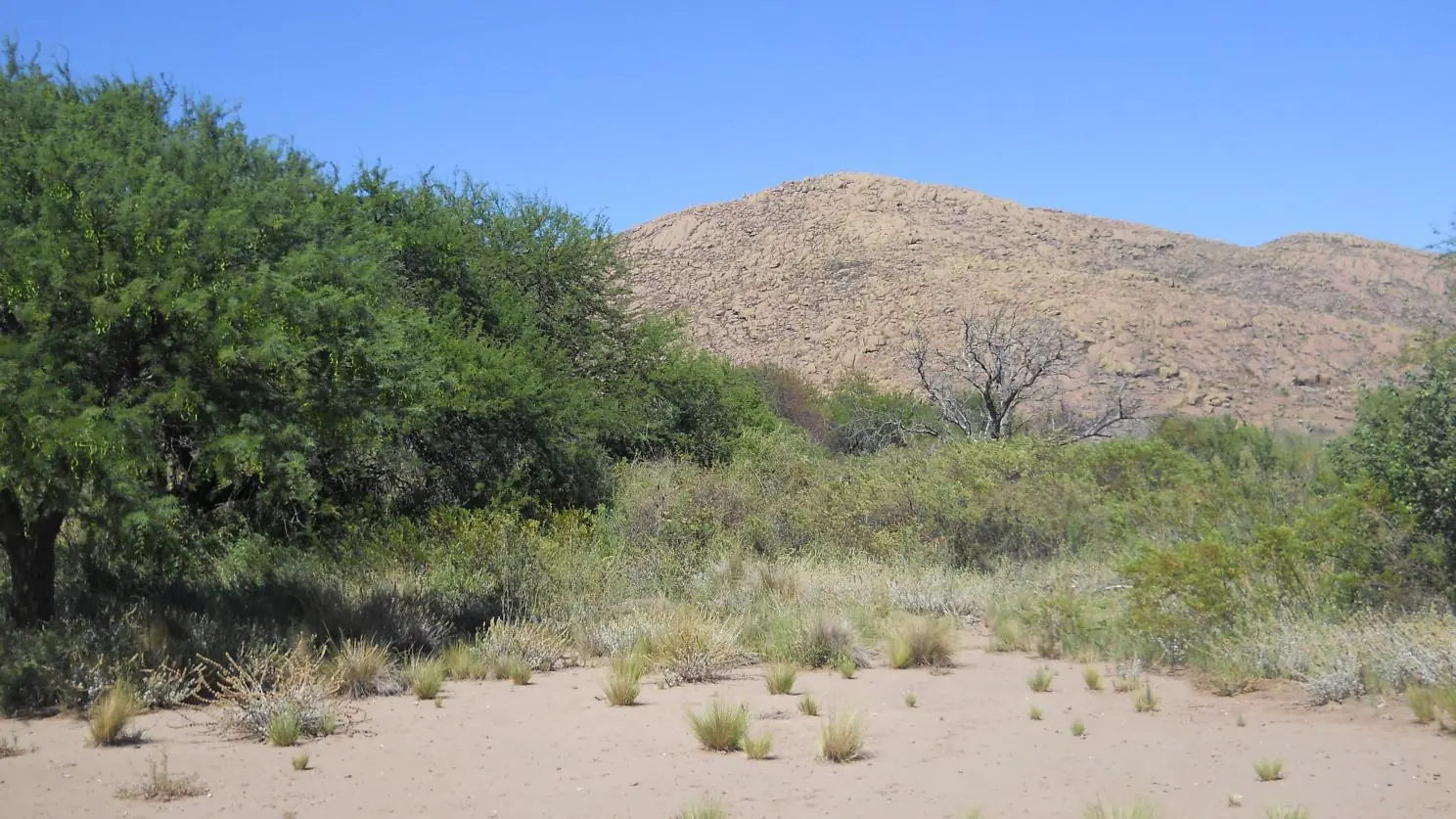 Sureando en una 110cc en vacaciones. Parte 2   yapa