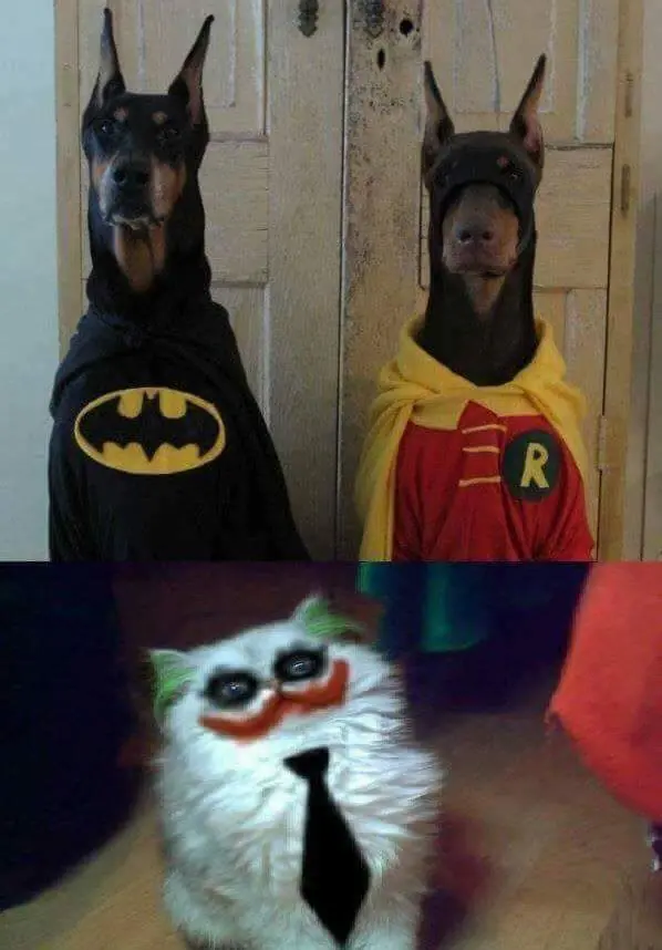 Imágenes de humor nocturno parte 246