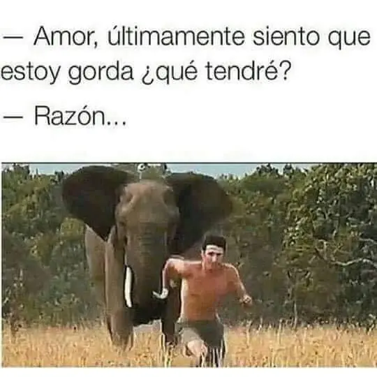 imagenes