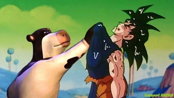 Imágenes de humor nocturno parte 246