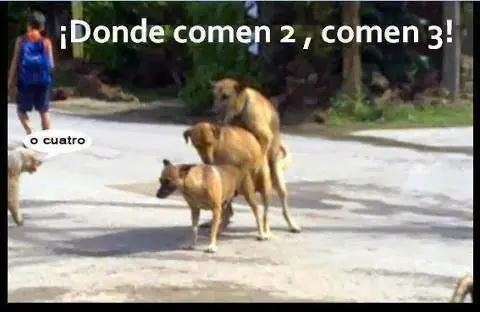 humor malo humor malo