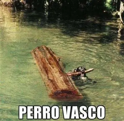 agrado