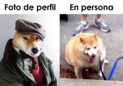 Sábado feliz lleno de humor te agradara, sonríes y +1