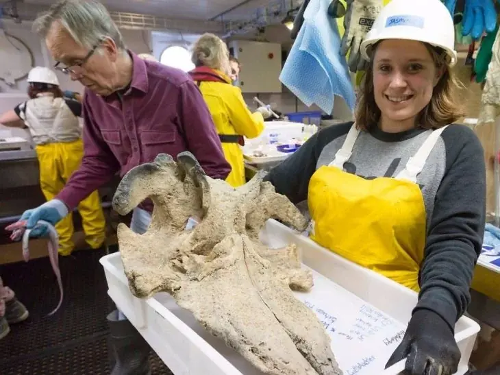 Misteriosas criaturas marinas encontradas en Australia