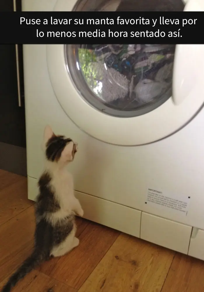 imagenes imagenes