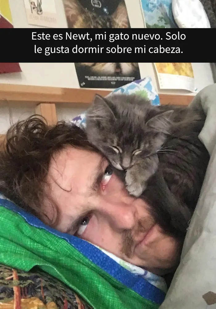 Snapchats Snapchats
