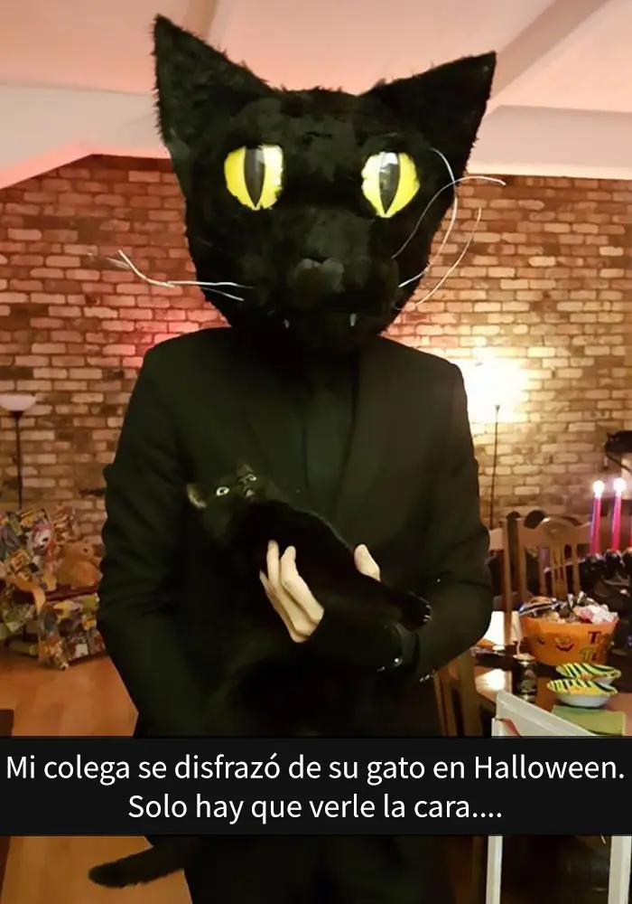 divertidas divertidas