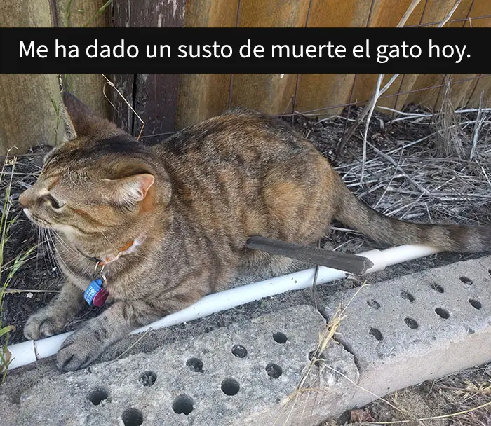 imagenes imagenes