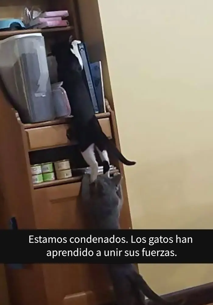 imagenes imagenes