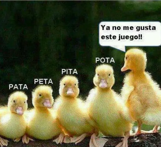 para los pibes