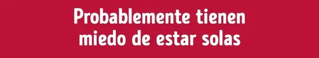 conquistar