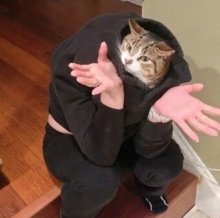 Entrá y cambiá esa cara de ogt! [Parte 4]