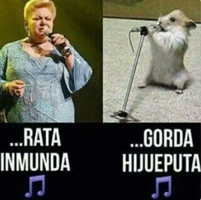 Divertidos memes que te alegraran el dia lince!