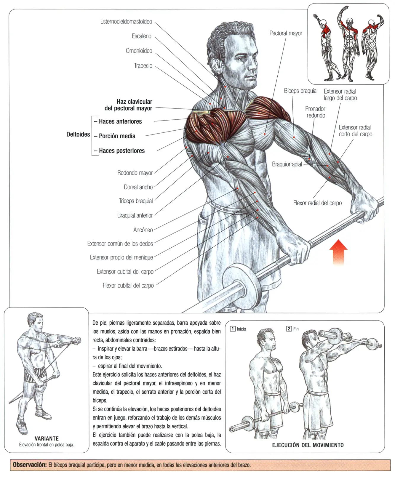 Guia de los movimientos