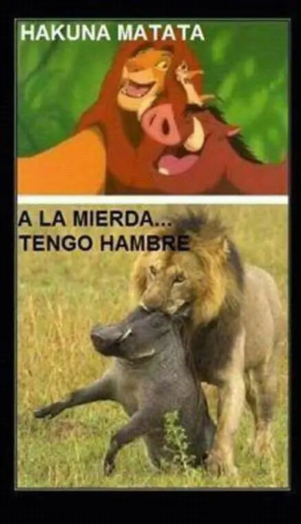 alegrar el dia