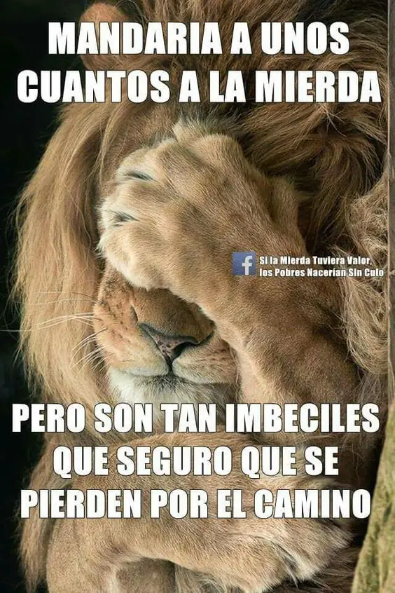 taringa on