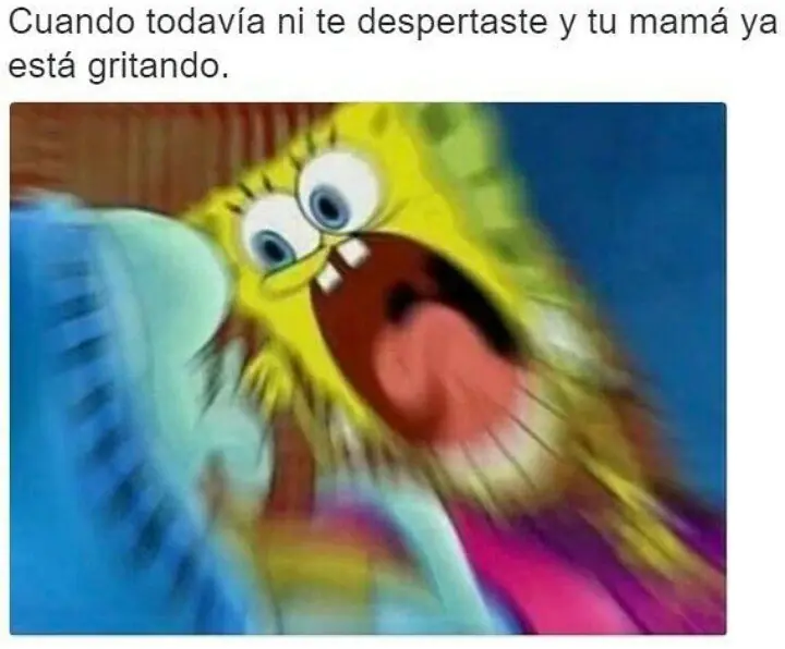 Entrá y cambiá esa cara de ogt! [Parte 4]