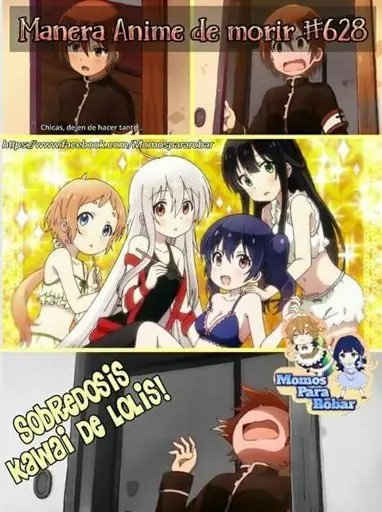 imegenes