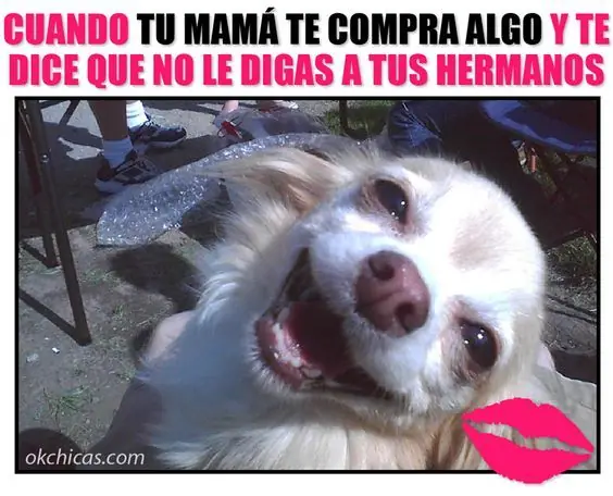 Divertidos memes que te alegraran el dia lince!