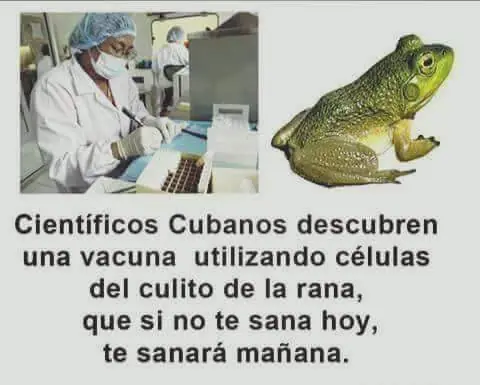 Entrá y cambiá esa cara de ogt! [Parte 4]