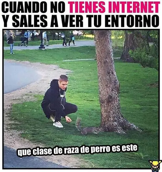 divertidos