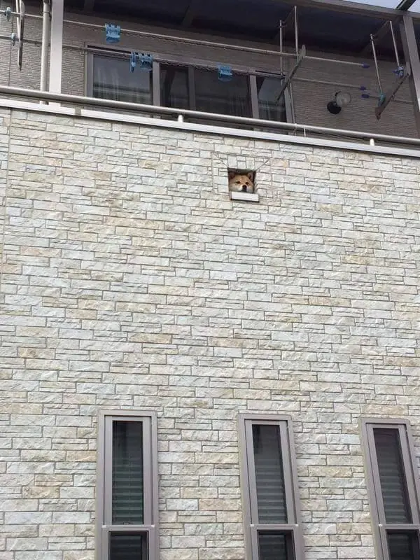 Crap de humor para este domingo