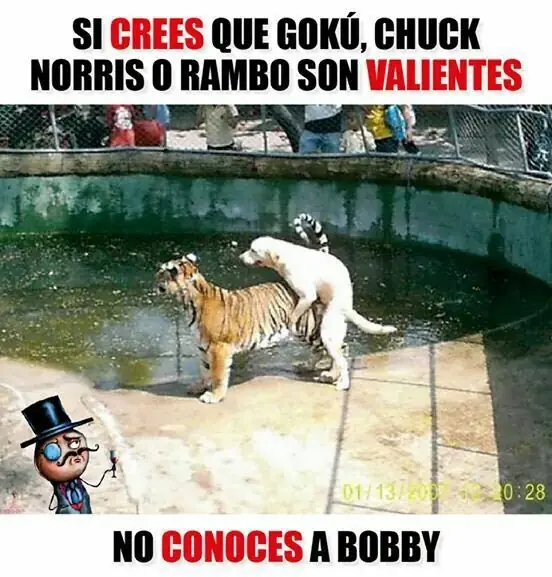 sonrisa
