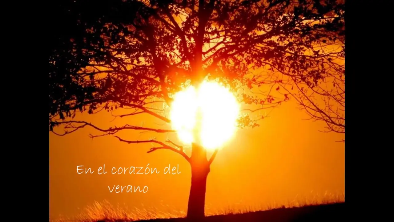 poema de amor