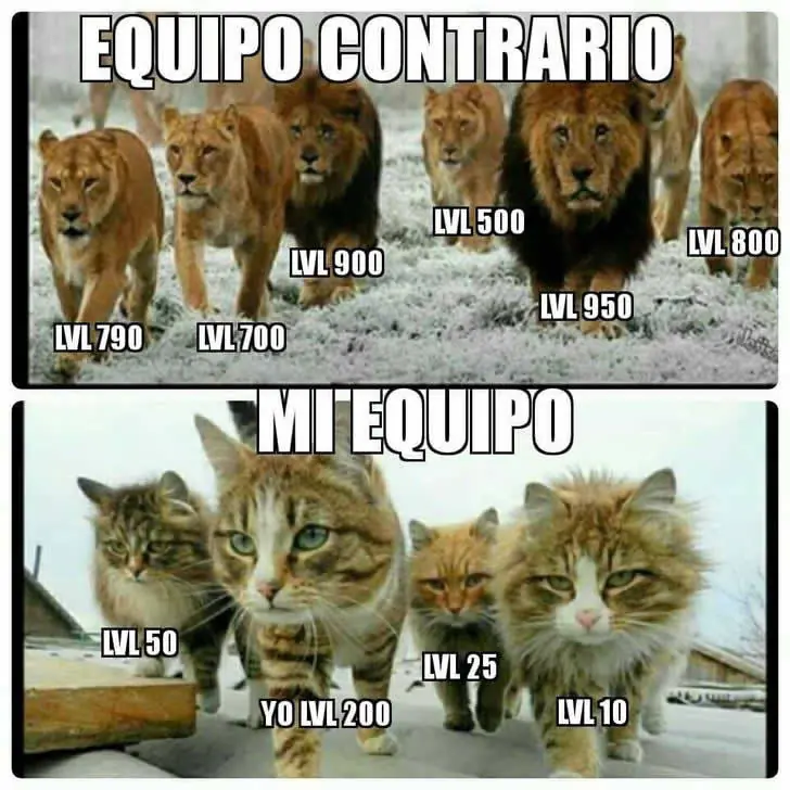 Fotografias de humor que te sacaran del aburrimiento total.
