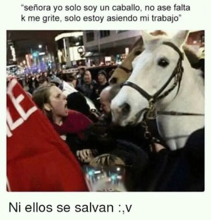 finamente