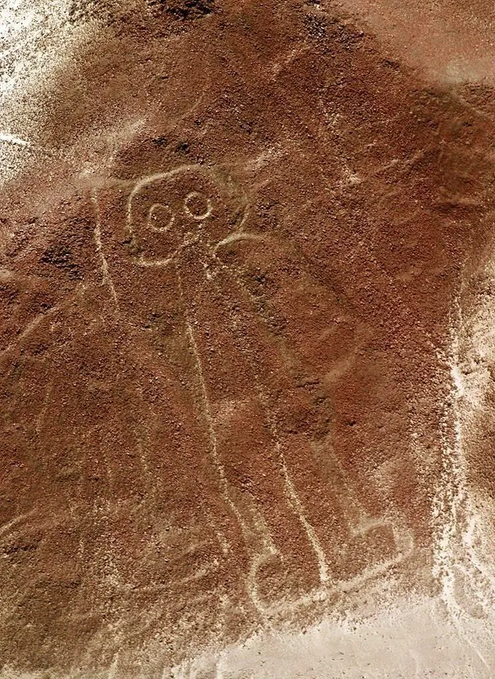 Perú:Revelan extraterrestre ante científicos internacionales