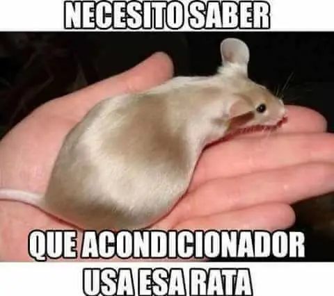 finamente