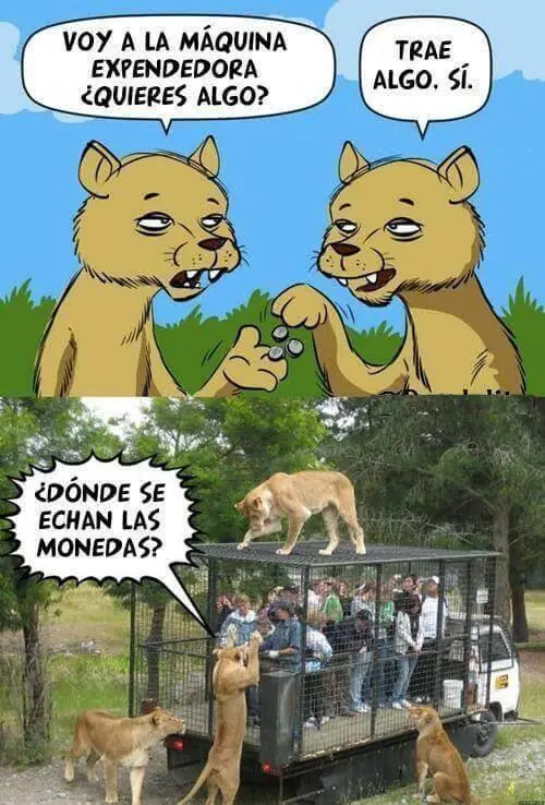 Imágenes de humor nocturno parte 247