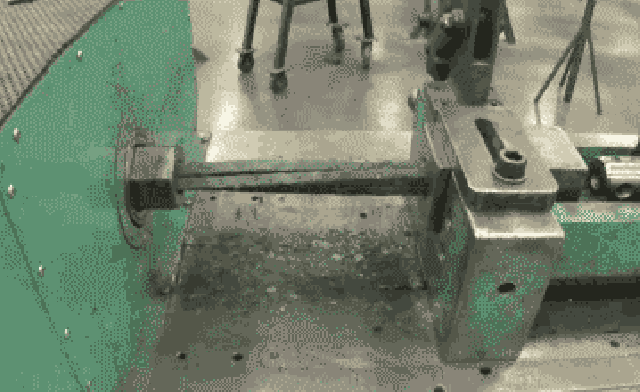 gifs curiosos
