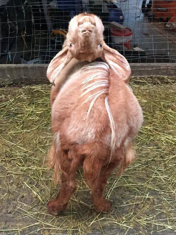 Imágenes de humor nocturno parte 247