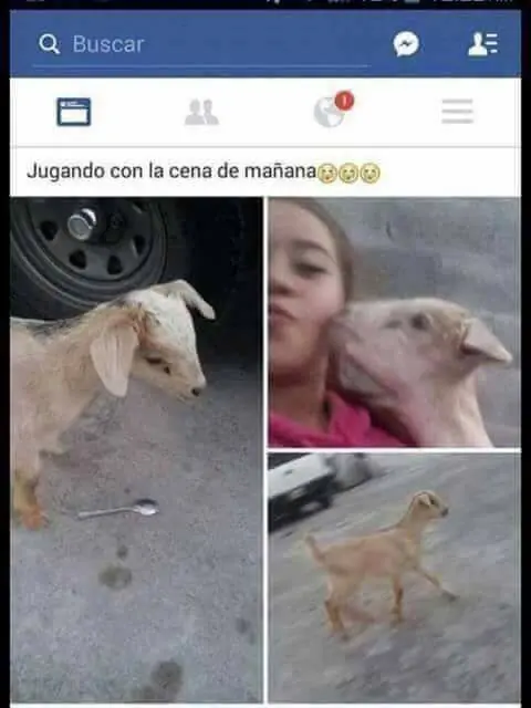 fails