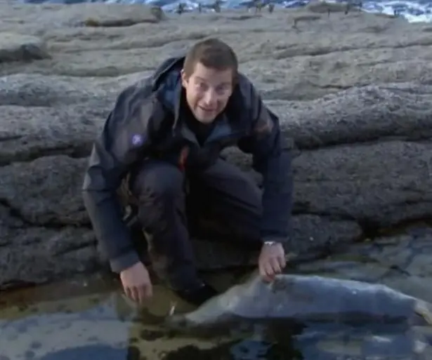 bear grylls te enseña a hacerte un chaleco en 4 pasos