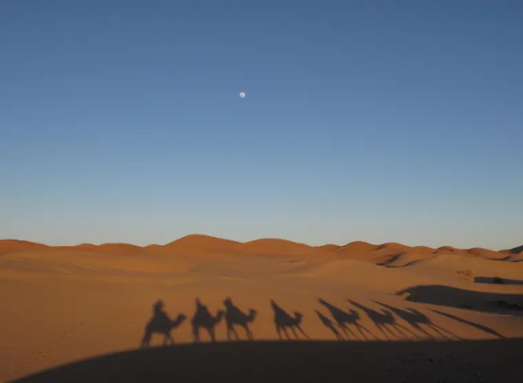 sahara sahara