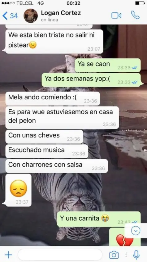 Hacen carne asada, parrillada a distancia