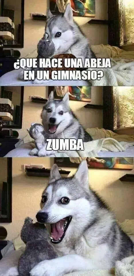 7 imágenes de humor que te sacaran una sonrisa