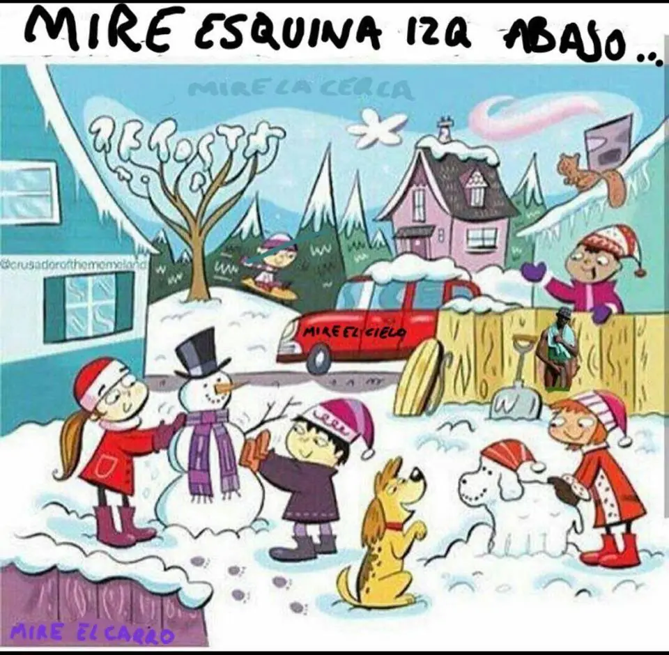 humor