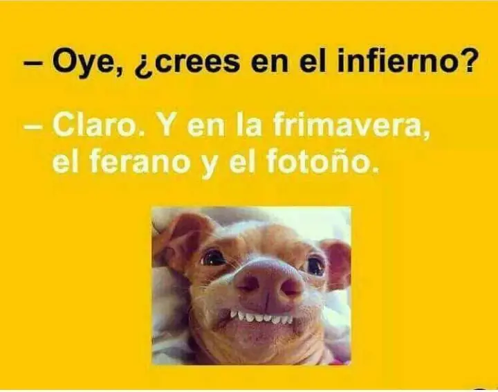 imagenes